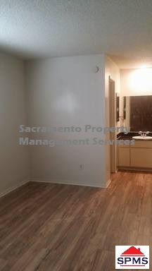 1 bed, 1 bath, $1,350, Unit 4