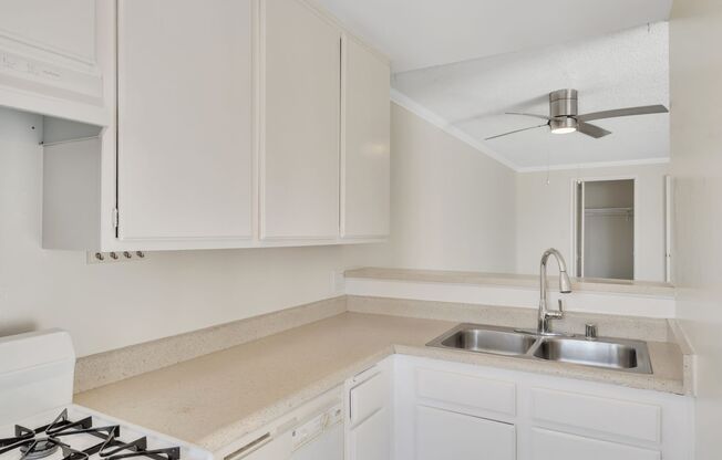 Studio, 1 bath, 500 sqft, $1,795, Unit Unit 205