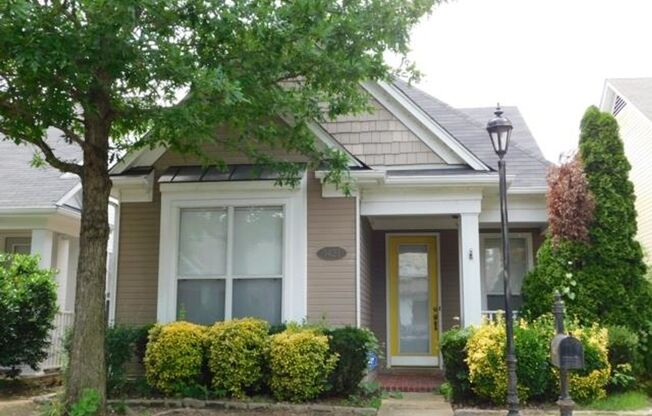 Pristine 3 bedroom 2 bath on Island! Fenced in back yard! Pets are welcome, fees apply. Owner will manage.