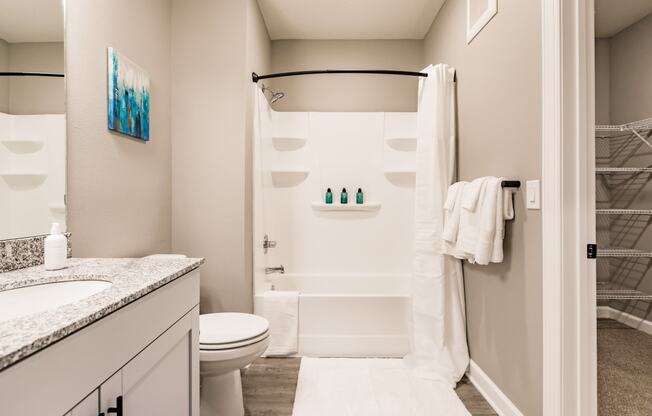 a bathroom with a shower and a toilet and a sink