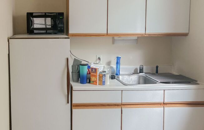 Studio, 1 bath, 379 sqft, $1,475, Unit 2882-1