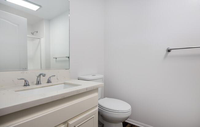 a bathroom with a sink and a toilet and a mirror