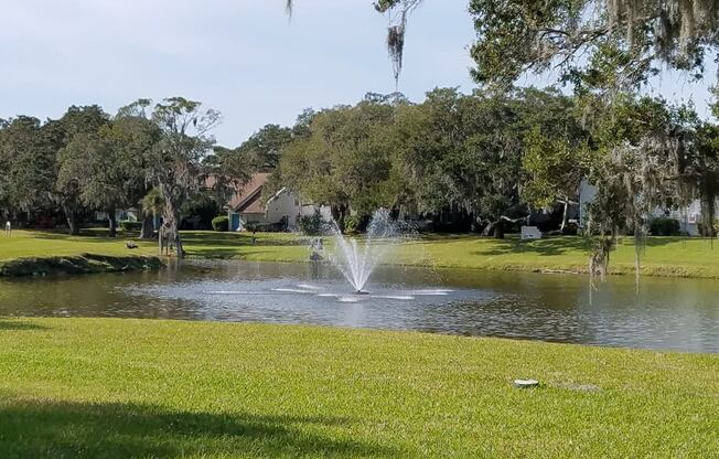 Pond at L'Estancia, Florida