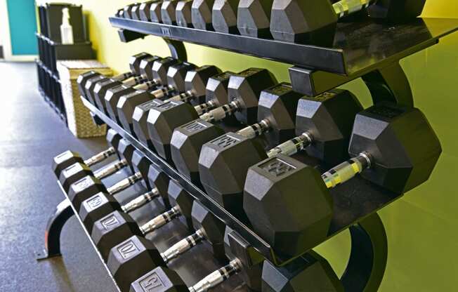 Free Weights In Gym at Badger Canyon, Kennewick, WA