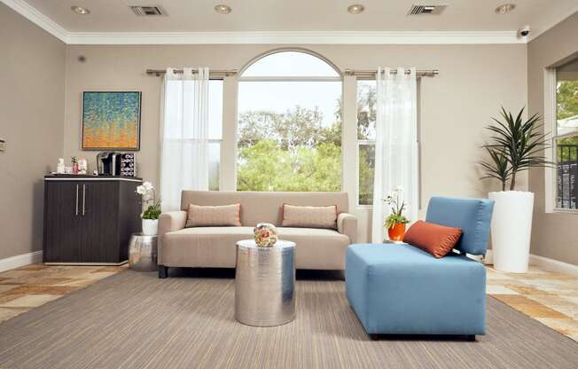 Escondido, CA Apartments - Community Living Area With Seating, Modern Decor, Potted Tall Plant, And Spacious Windows