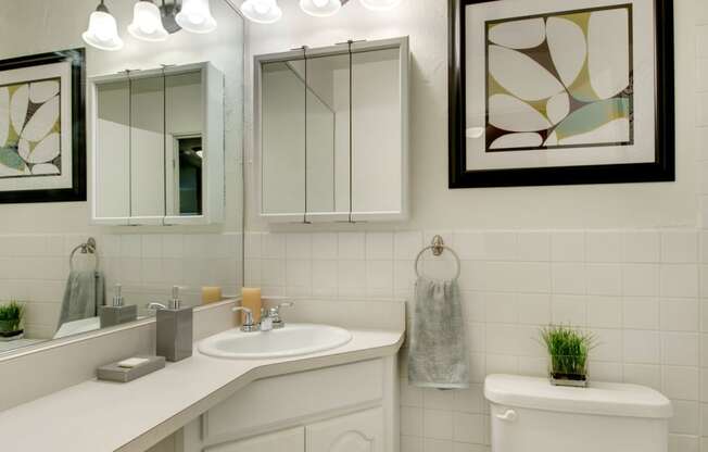 Luxury White Countertops in Bathroom atRidgewood Arches Apartments