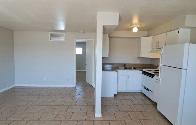 217 W Chicago Avenue