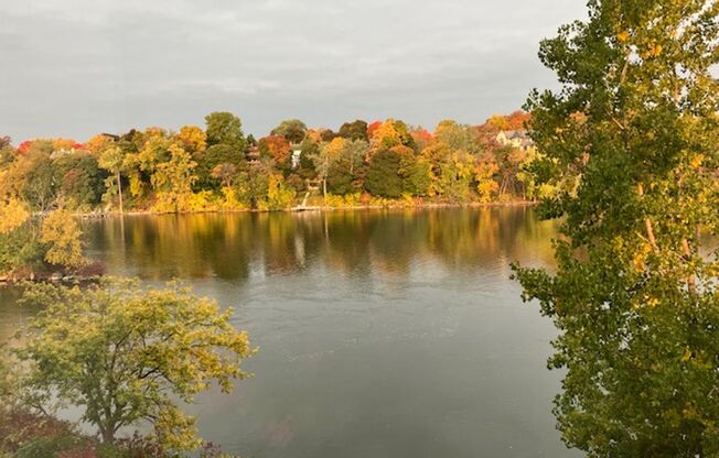 2 beds, 2 baths, 1,125 sqft, $2,200, Unit 411