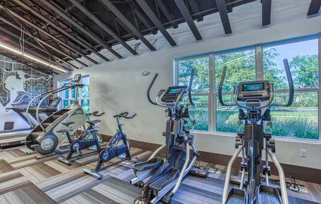 a gym with exercise bikes and a window