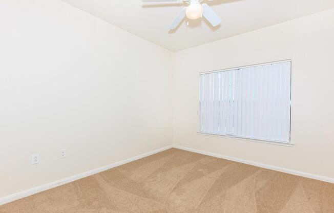 PLUSH CARPETED FLOORS