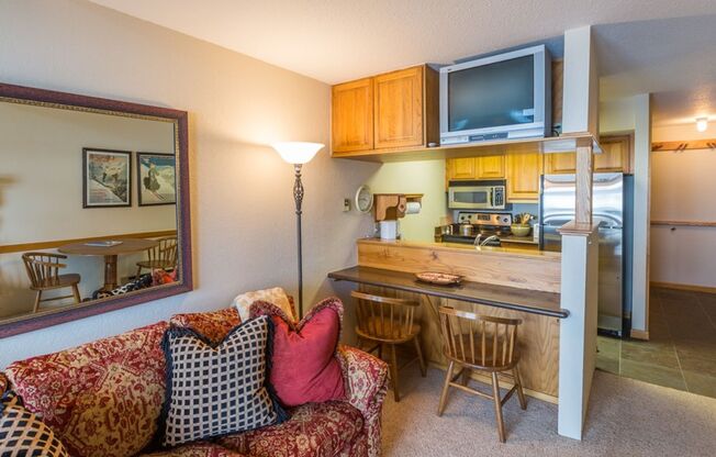 2 bedroom/2 bathroom condo in Mount Crested Butte available for May 1st - November 30th, 2024