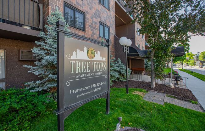 Studio, 1 bath, 494 sqft, $1,270, Unit 206