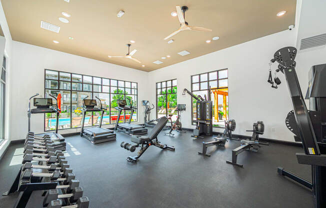 the gym has plenty of cardio equipment and windows