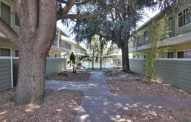 Backyard View at Mountain View Place, California, 94040