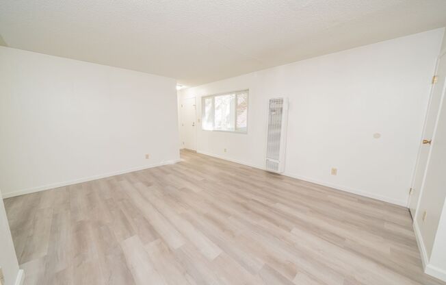 3667 Dimond - Adalie