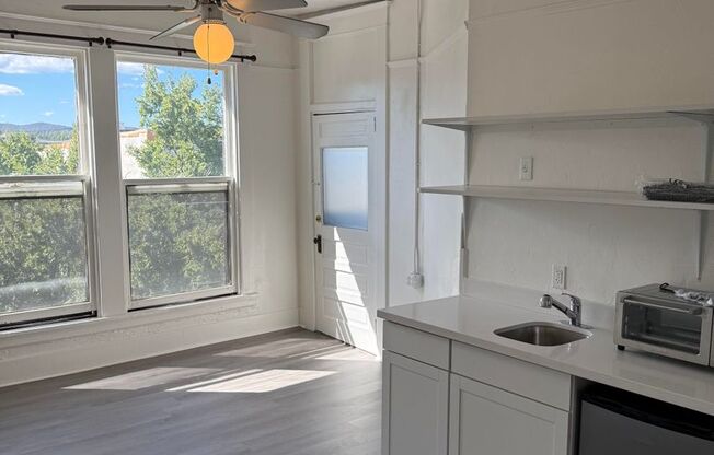 Studio, 1 bath, 250 sqft, $1,195, Unit 300