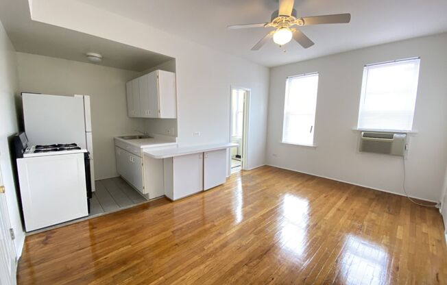 Studio, 1 bath, 300 sqft, $1,050, Unit 5528-108