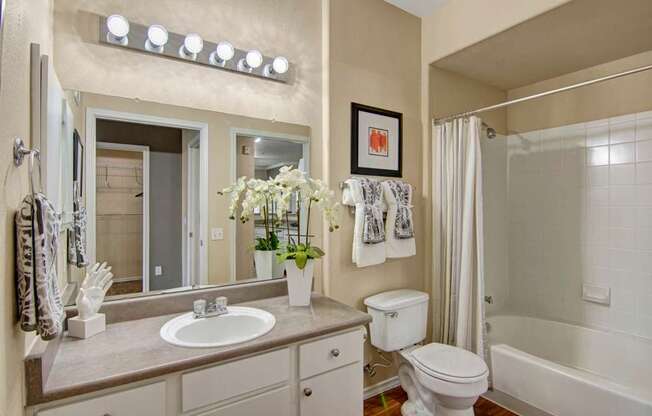 A bright bathroom here at Mozaic at Steele Park featuring a tub and shower combination with white tile surround and a curved shower rod. A wide vanity with ample counter space and a large mirror sits beneath modern lighting, while neutral finishes create a clean and comfortable space.