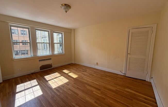 Studio, 1 bath, 294 sqft, $1,365, Unit New King Edward  3A3