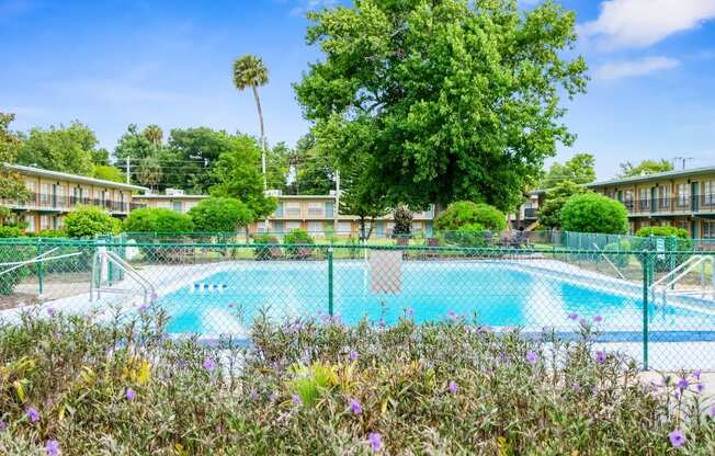 A beautiful swimming pool surrounded by trees and bushes in the courtyard at Park Apartments in Daytona Beach, FL