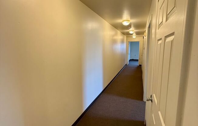 2 beds, 1 bath, 730 sqft, $950, Unit 800A