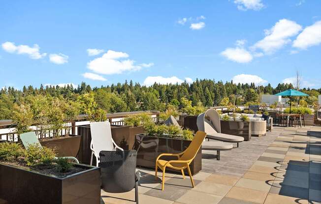 A patio with chairs and tables overlooks a forest.