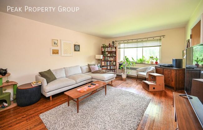 203 Loraine
