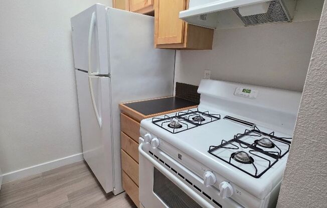 1 bed, 1 bath, 700 sqft, $999, Unit ELP2200-204