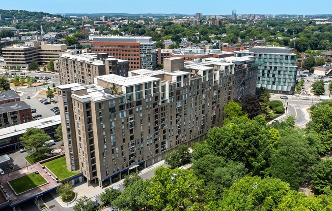 1 bed, 1 bath, 750 sqft, $2,650, Unit 1010