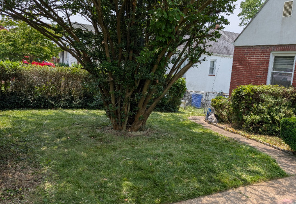 516 DL AVE