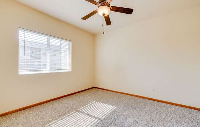 Bedroom with Plush Carpeting