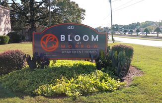 Bloom at Morrow