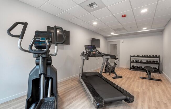 1 bed, 1 bath, 553 sqft, $1,445, Unit 144