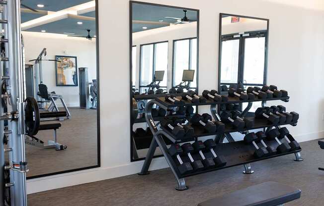 A gym with a mirror on the wall and a rack of dumbbells.