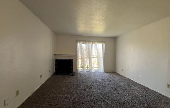 1 bed, 1 bath, 660 sqft, $1,000, Unit 1206