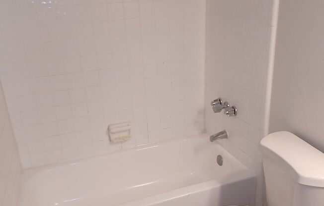 2 beds, 2 baths, $1,250