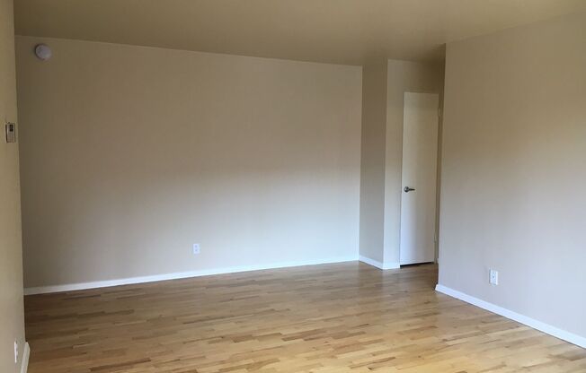 1 bed, 1 bath, 558 sqft, $1,435, Unit 107