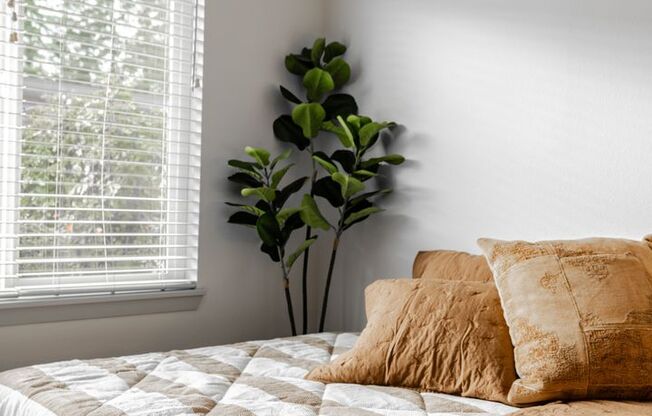 Studio, 1 bath, 313 sqft, $1,295, Unit 131