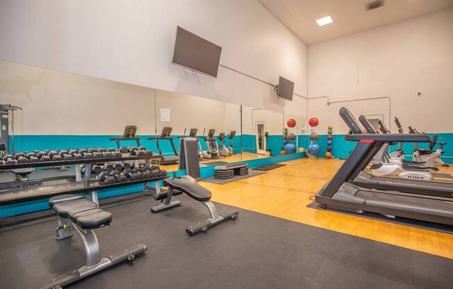 A gym with a variety of equipment including treadmills, weights, and exercise balls.