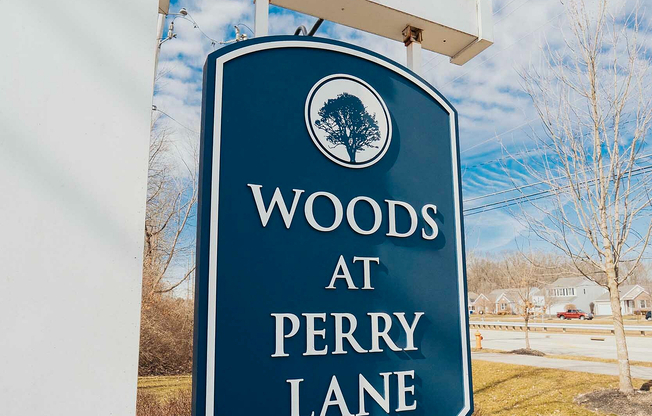 The Woods at Perry Lane - 02