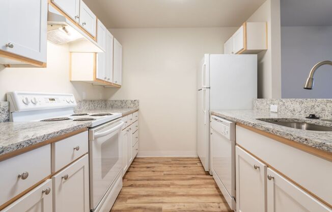Studio, 1 bath, 540 sqft, $1,375, Unit 202