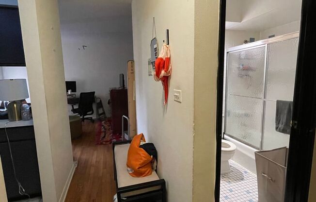 Studio, 1 bath, 390 sqft, $1,400, Unit 521-308
