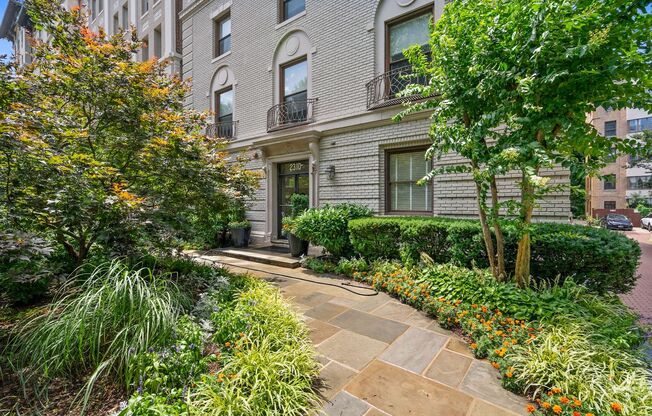 Available Now! 1 Bedroom 1 Bathroom Condo // Kalorama Triangle// 93 WalkScore!