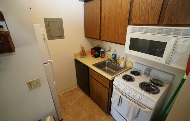 Studio, 1 bath, $800, Unit 4