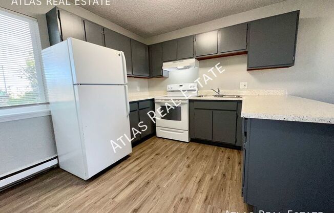 1 bed, 1 bath, 449 sqft, $975