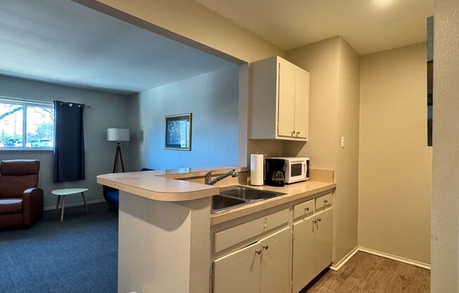 1 bed, 1 bath, 550 sqft, $1,100, Unit 32