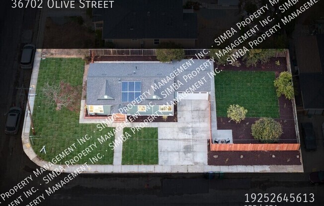 36702 OLIVE ST