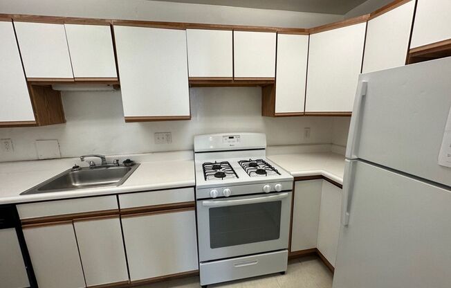 1 bed, 1 bath, 962 sqft, $1,560, Unit New King Edward  208
