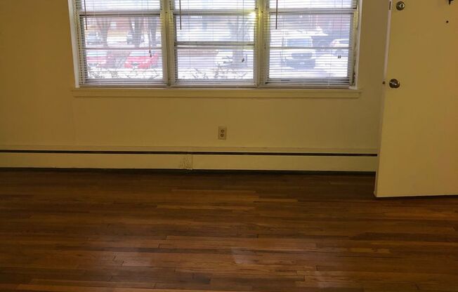1 bed, 1 bath, 580 sqft, $625, Unit 1300-1508