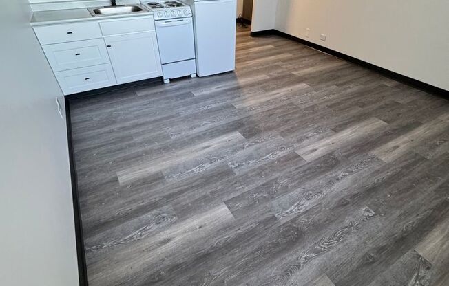 Studio, 1 bath, 265 sqft, $705, Unit 314